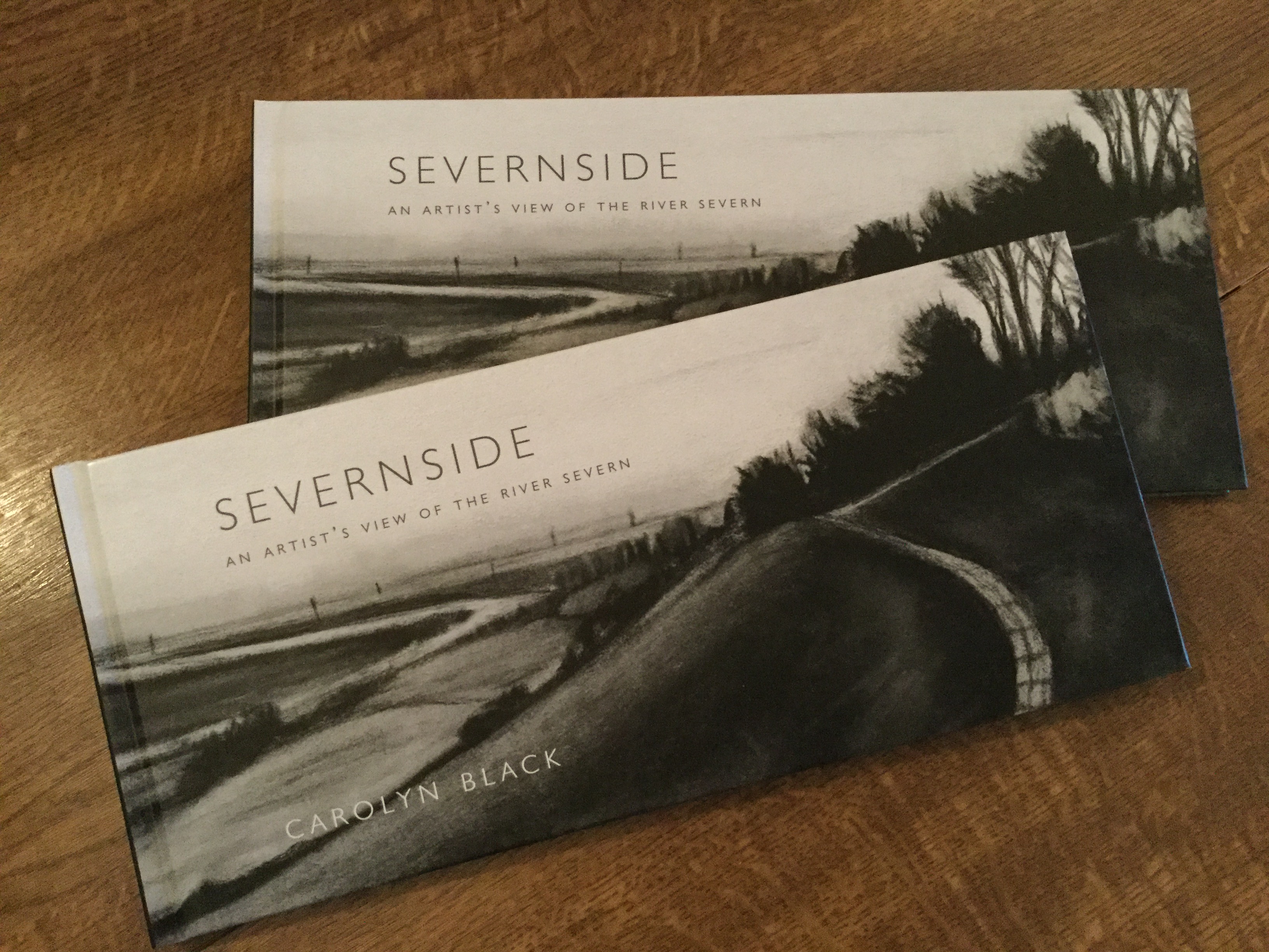 severnside book cover.jpg